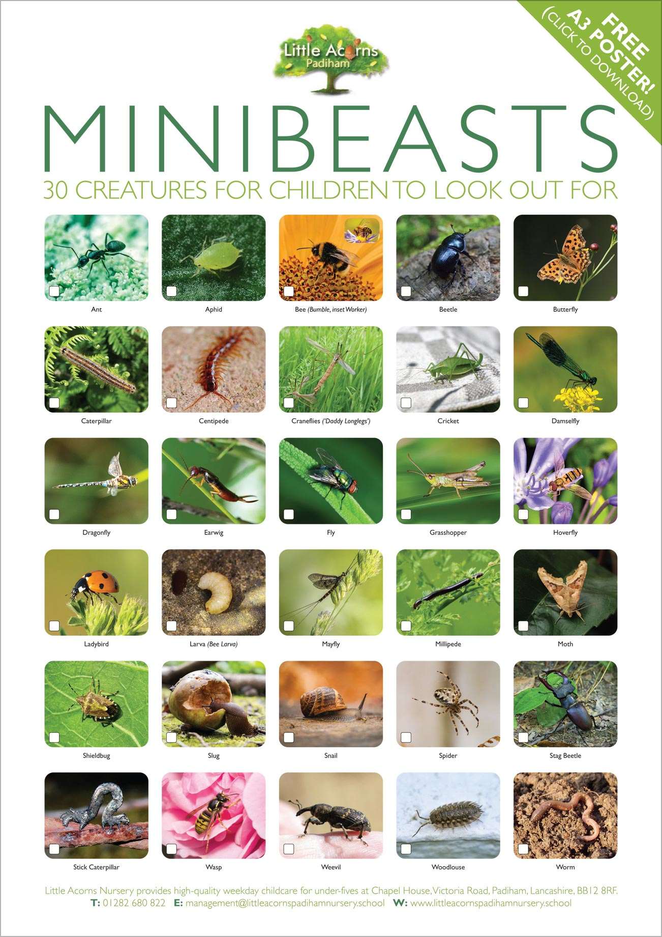 Minibeast Spotting Activity For Kids (With Free Identification intended for Free Minibeast Printables