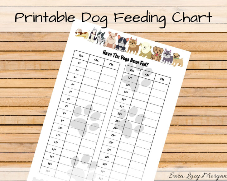 Free Printable Dog Feeding Chart