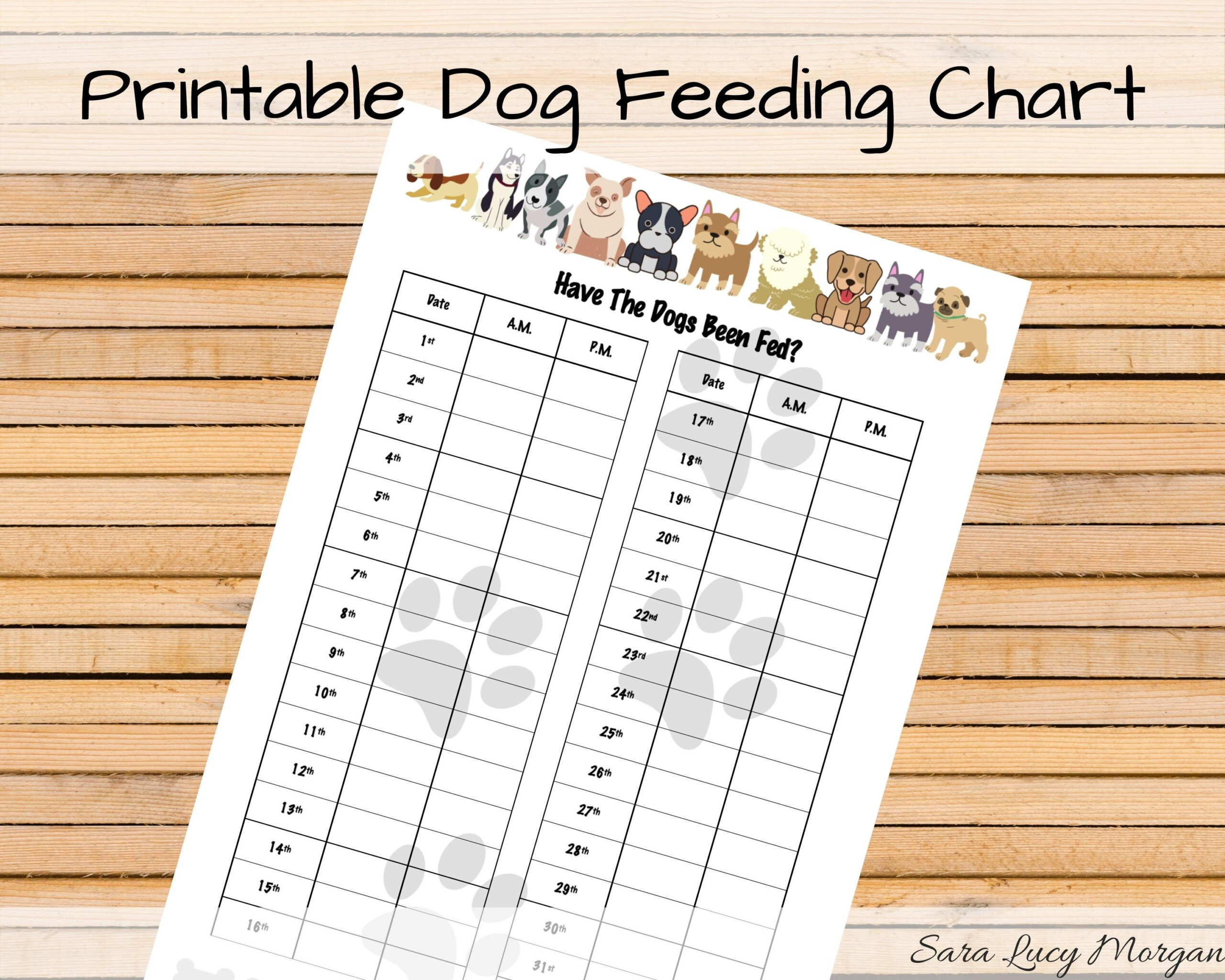 Monthly Printable Dog Feeding Chart. Dog Food Schedule. Pet Food with Free Printable Dog Feeding Chart