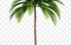 Palm Tree Images | Free Hd Backgrounds, Pngs, Vectors &amp; Templates regarding Free Palm Tree Templates