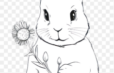 Pencil Drawing Images | Free Photos, Png Stickers, Wallpapers inside Free Printable Pencil Drawings