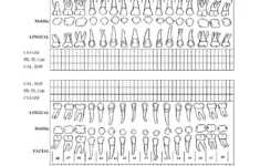 Perio Chart Form ≡ Fill Out Printable Pdf Forms Online throughout Free Printable Blank Perio Chart