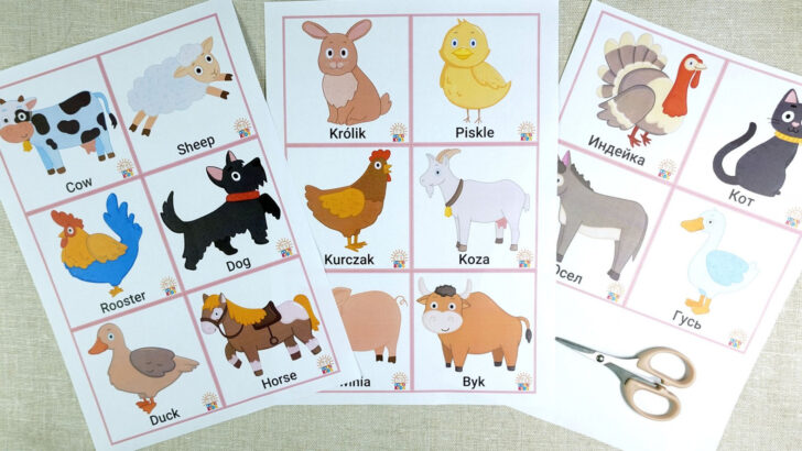 Animals Flashcards Free Printable