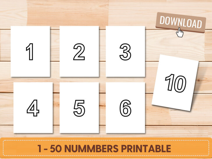 Free Large Printable Numbers 1-50 For White Elephant Game