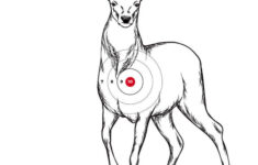 Printable Shooting Targets And Gun Targets • Nssf pertaining to Free Printable Rifle Sighting Targets
