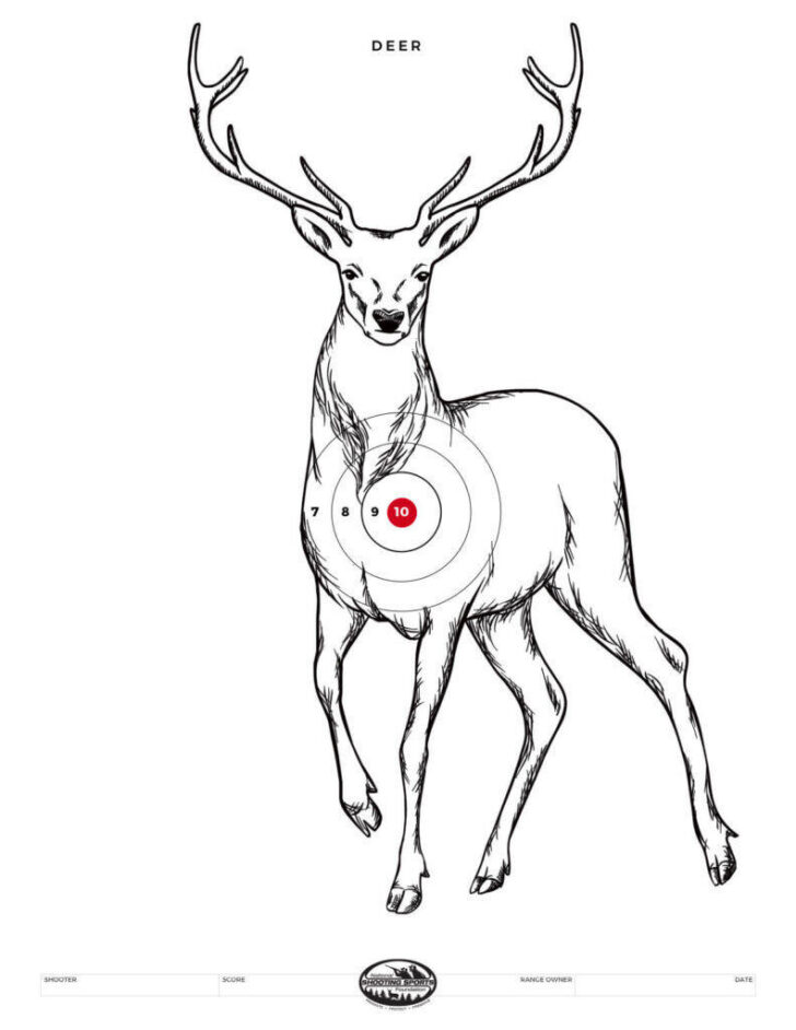 Free Printable Rifle Sighting Targets Free Printable Rifle Sighting Targets