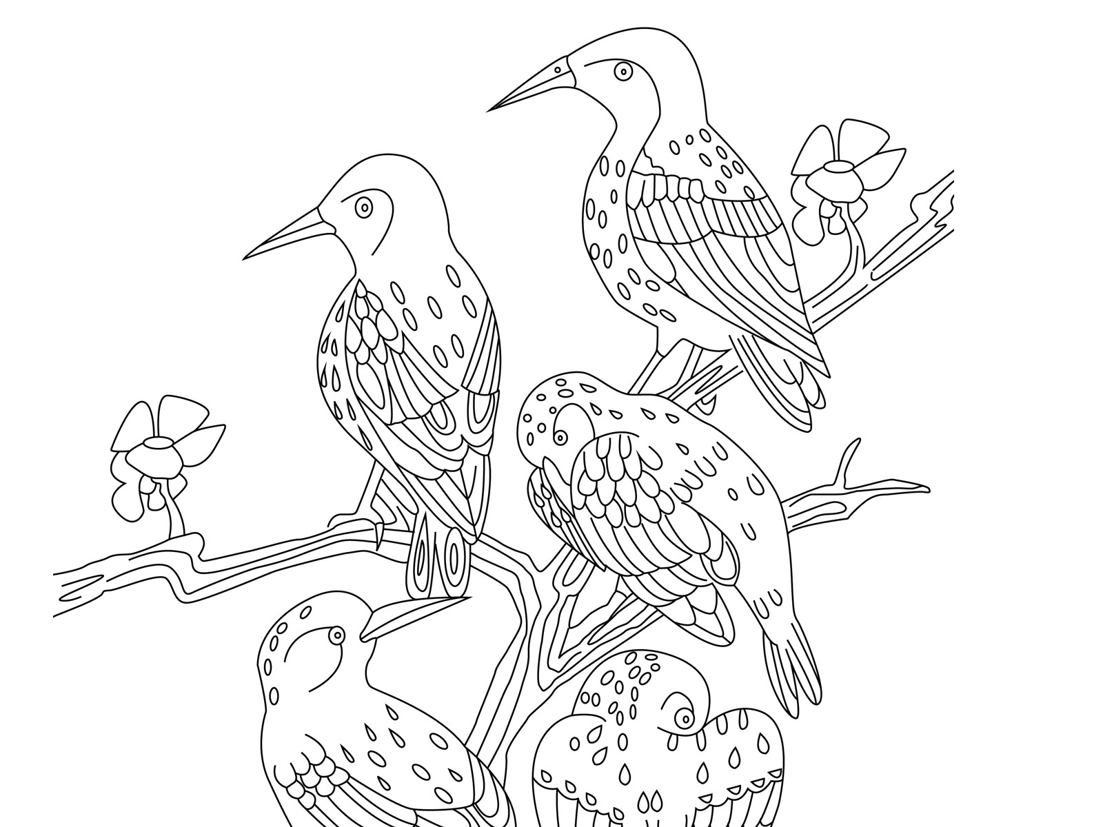 Spot The Differences, Five Birds - Marias Place with Free Printable Spot the Difference For Elderly