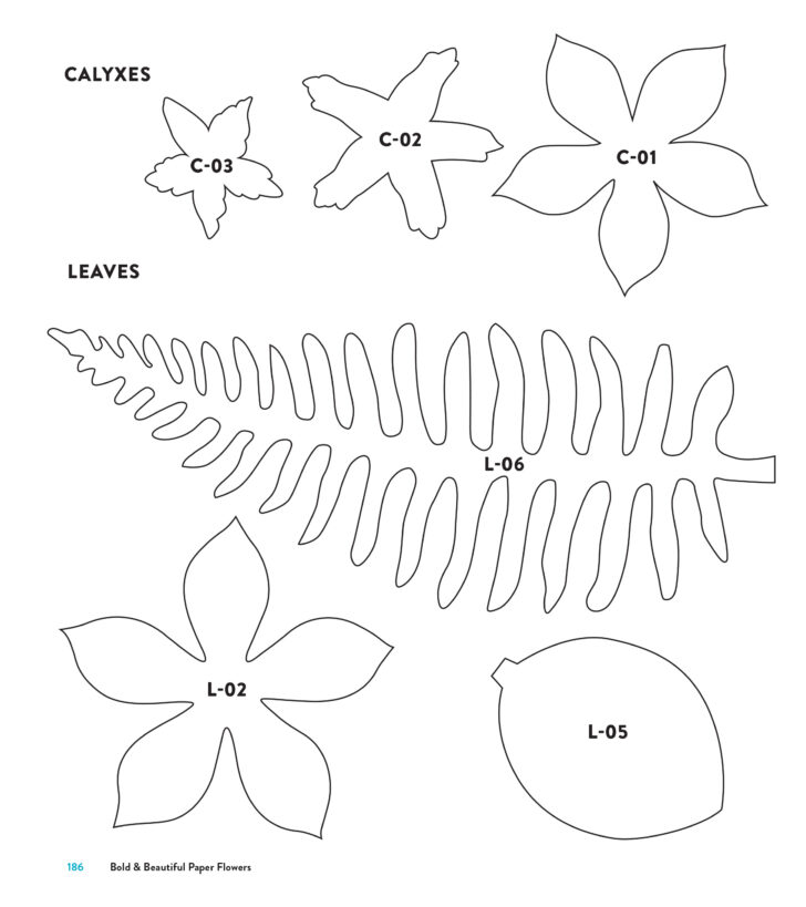 Paper Flower Templates Free