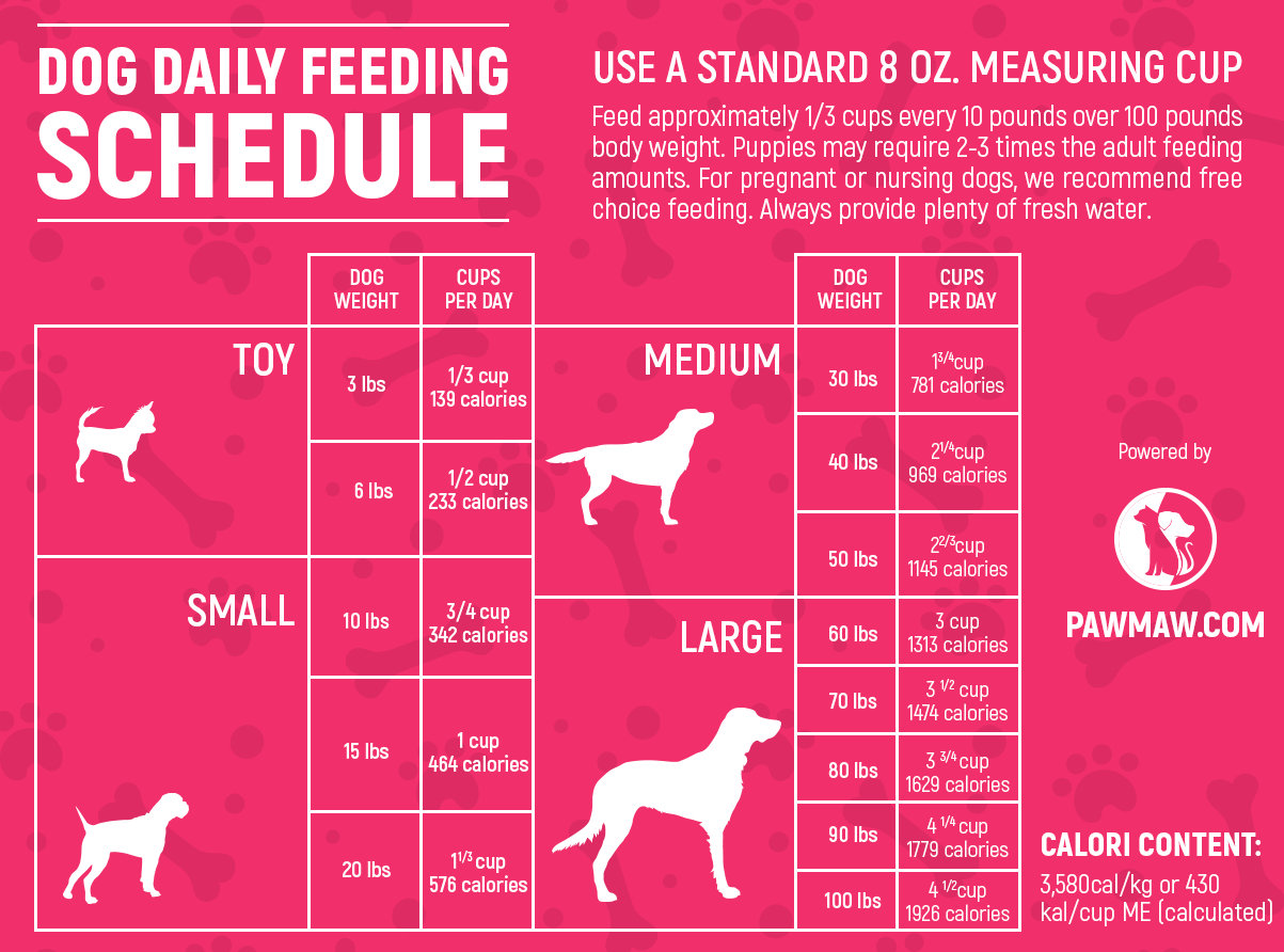 The Ultimate Dog Feeding Schedule Time And Chart pertaining to Free Printable Dog Feeding Chart