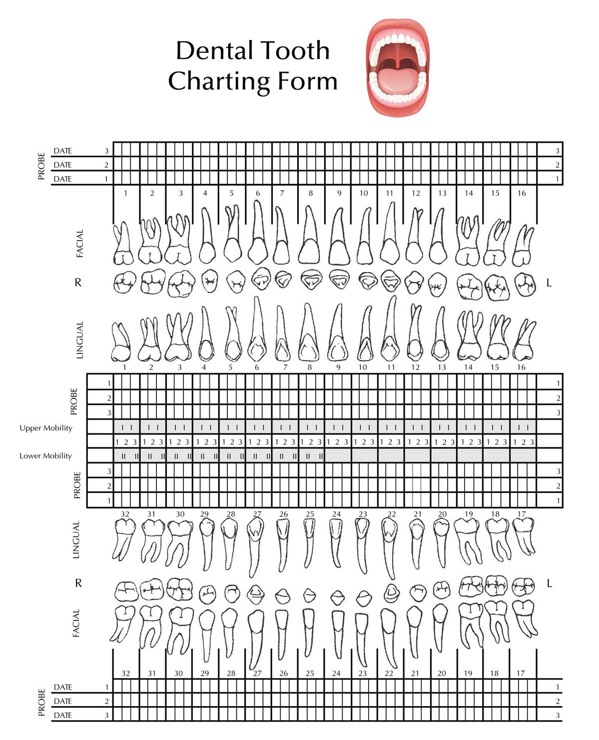 tooth chart full sheet 15 free pdf printables printablee inside free printable blank perio chart Tooth Chart Full Sheet - 15 Free Pdf Printables | Printablee inside Free Printable Blank Perio Chart