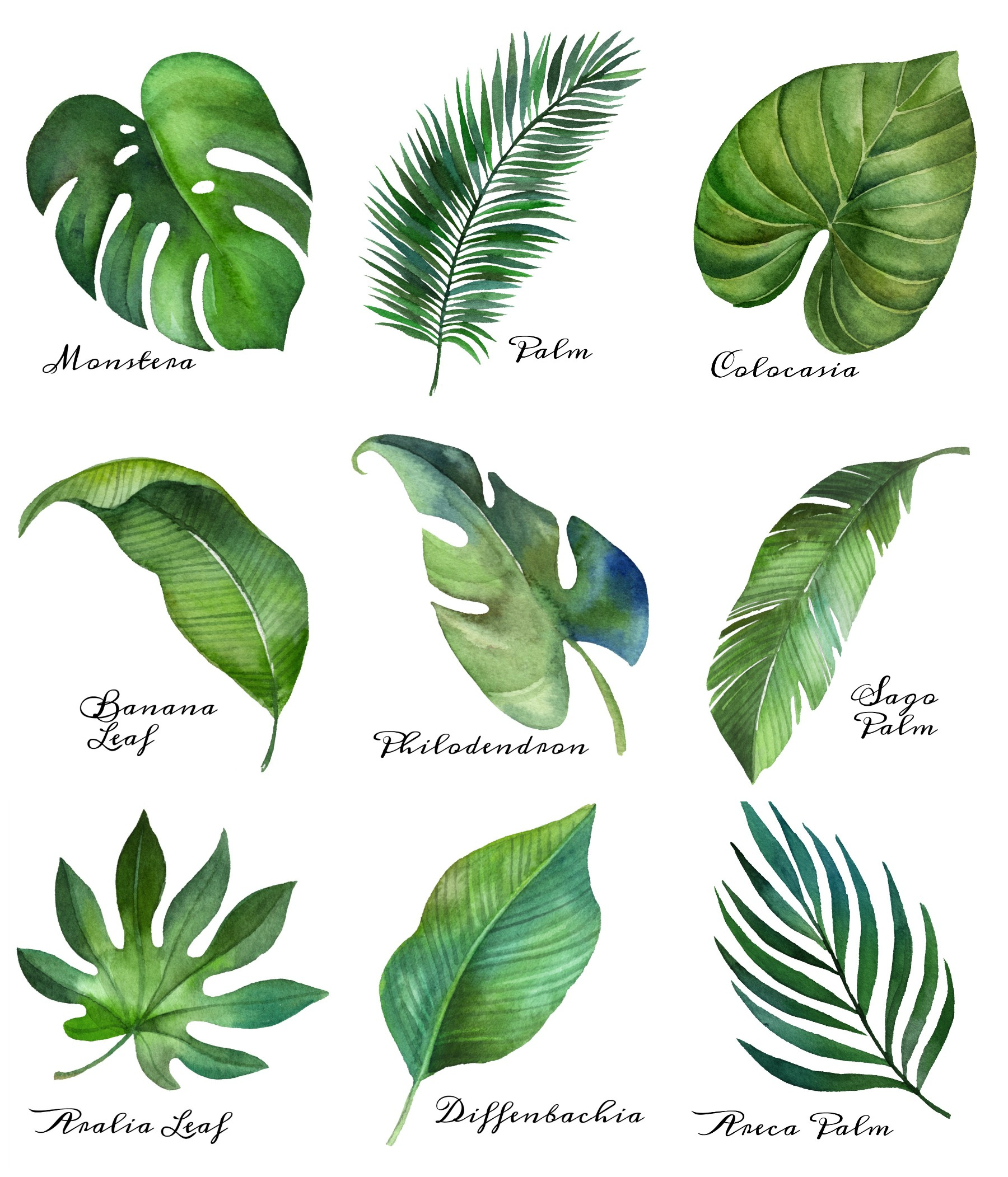Tropical Leaf Free Printable Art {Series Of 9} | The Happy Housie with regard to Free Printable Pictures Of Leaves