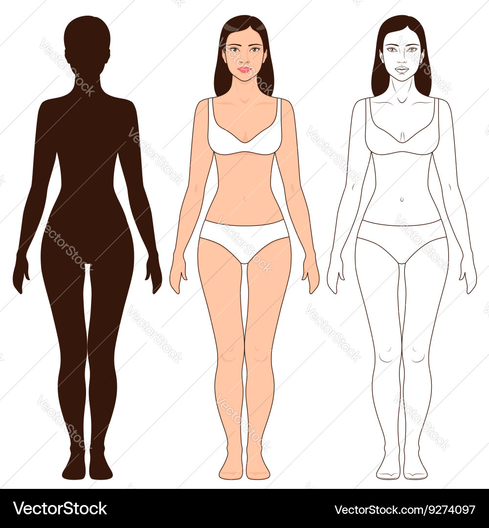 Woman Body Outline Template Royalty Free Vector Image intended for Free Printable Female Body Outline