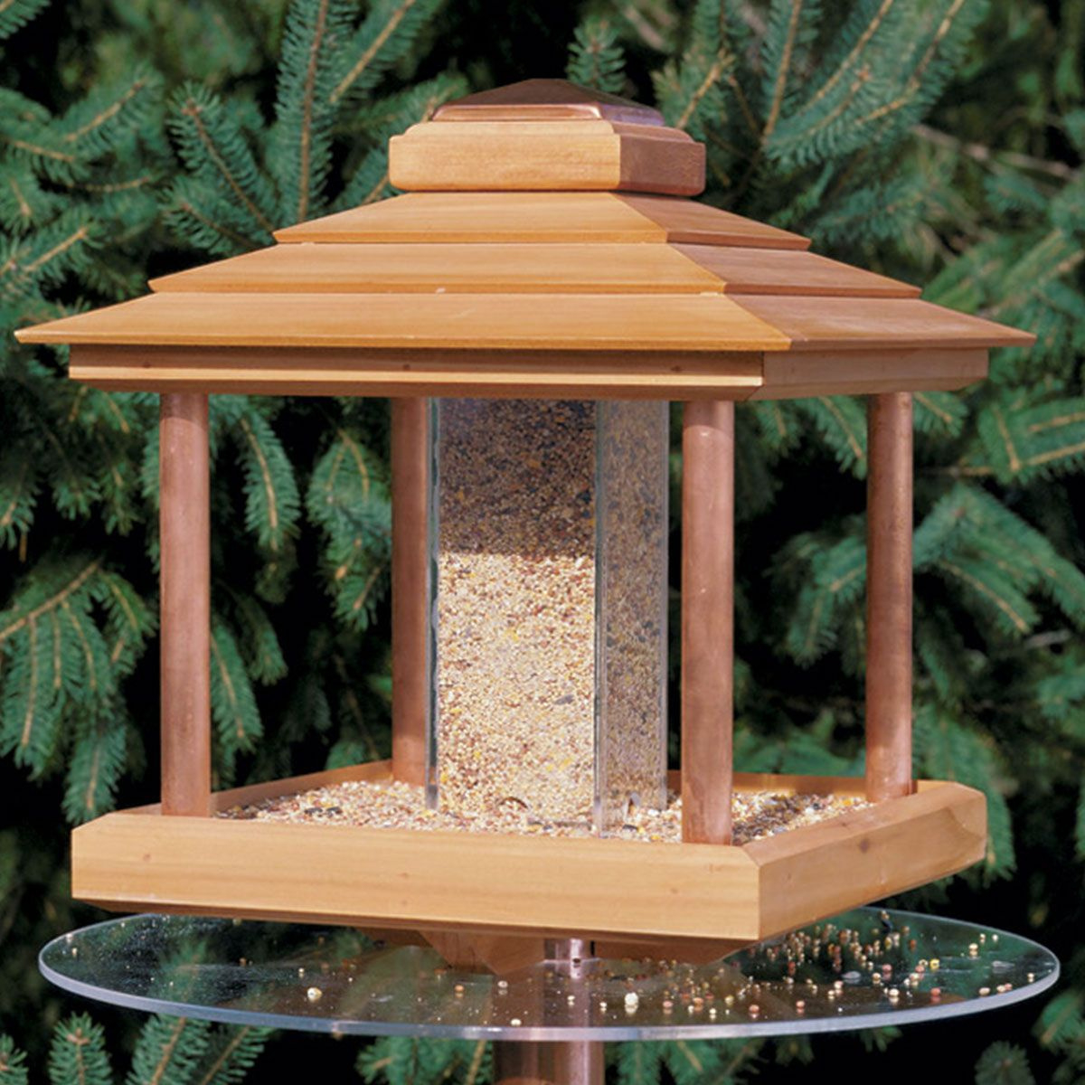 Woodsmith Cedar Bird Feeder Plan with Bird Feeder Patterns Free Printable