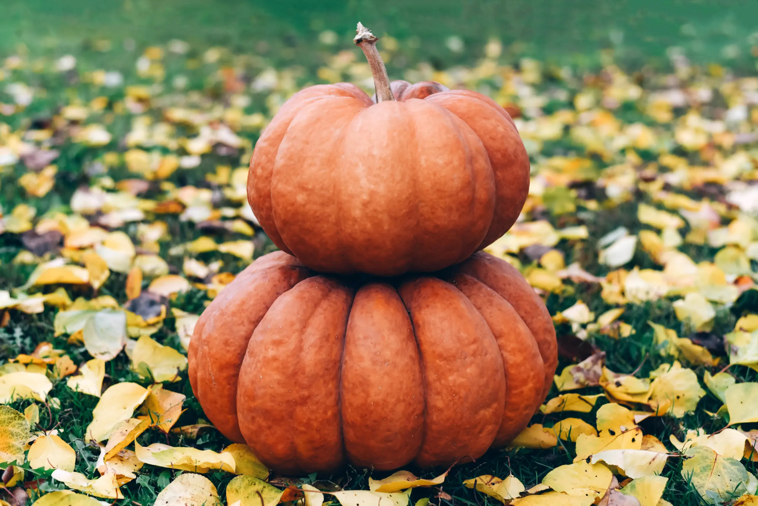 walt whitman thanksgiving poem walt whitman thanksgiving poem