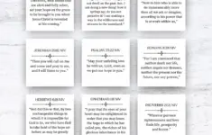365 Bible Verses Niv Cards Daily