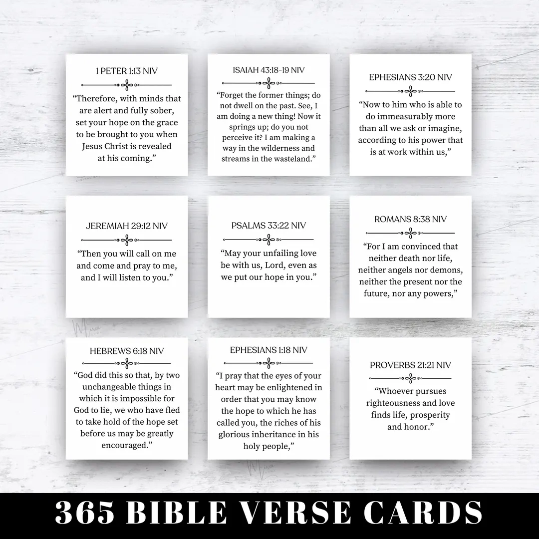 365 Bible Verses Niv Cards Daily