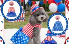4th Of July Dog Outfit With Matching Hat Patriotic Flag Themed Pet Outfits Festive Apparel For Holiday Parties Parades Red S