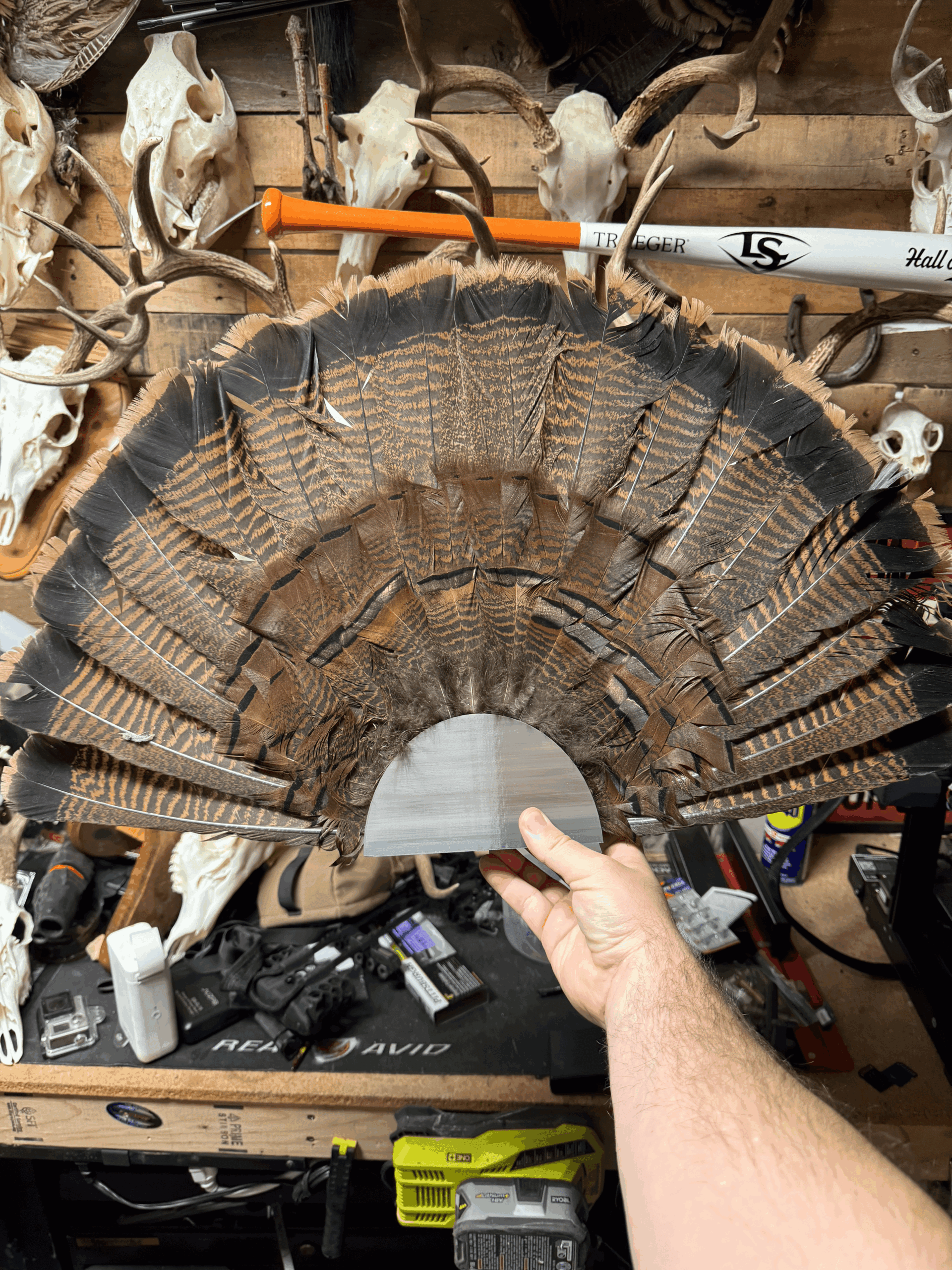 853077 Turkey Fan Tail Wall Mount 853077 Turkey Fan Tail Wall Mount