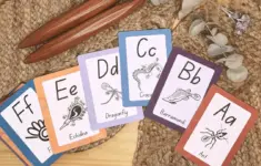 Alpahbet Flashcard Number Cards Stand Bundle