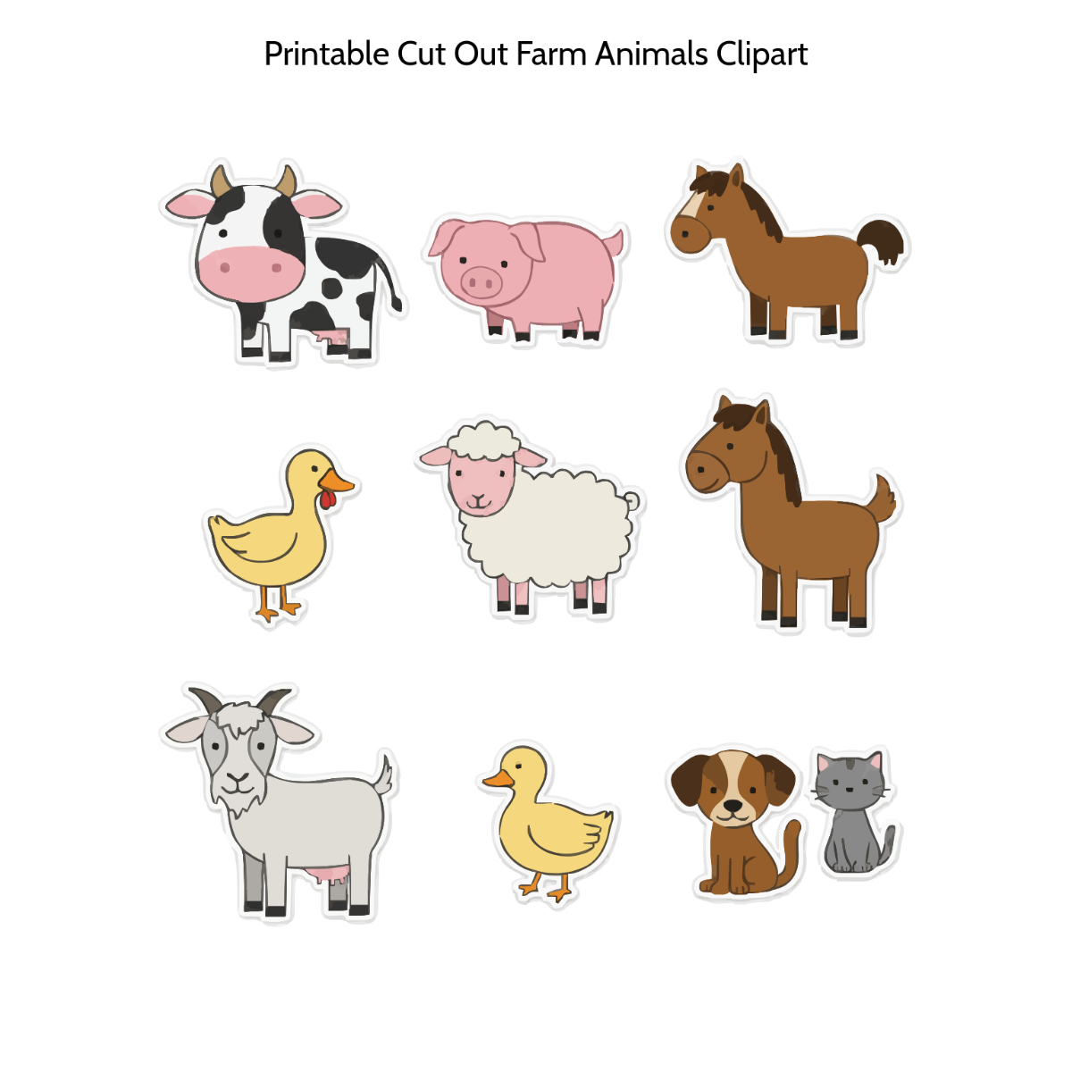 Animal Animal