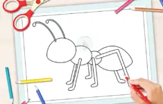 Ant Template
