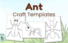 Ant Template