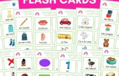 Beginner French Flash Cards