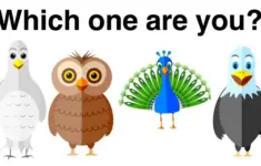 Bird Personality Reveal