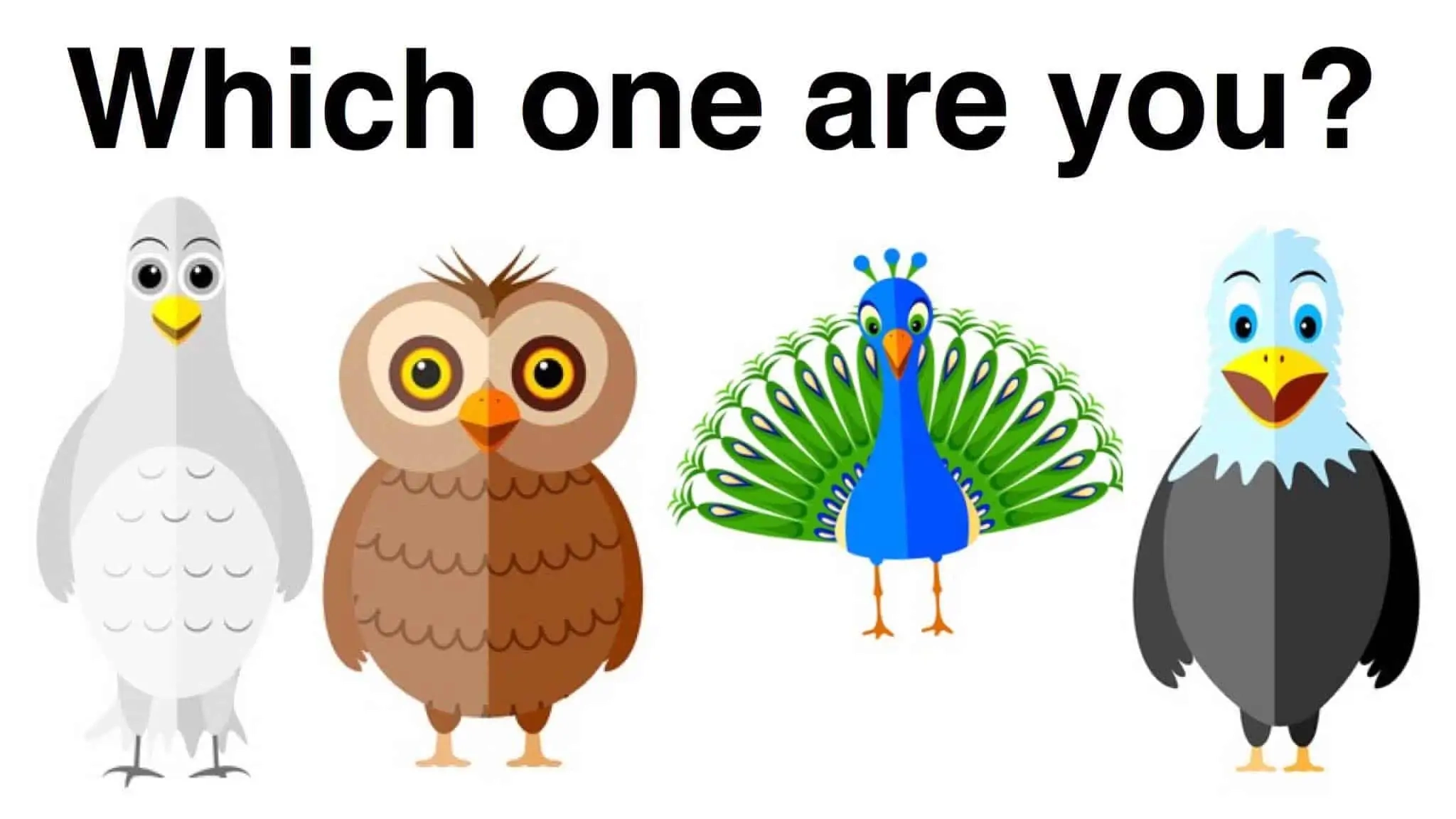 bird personality test printable