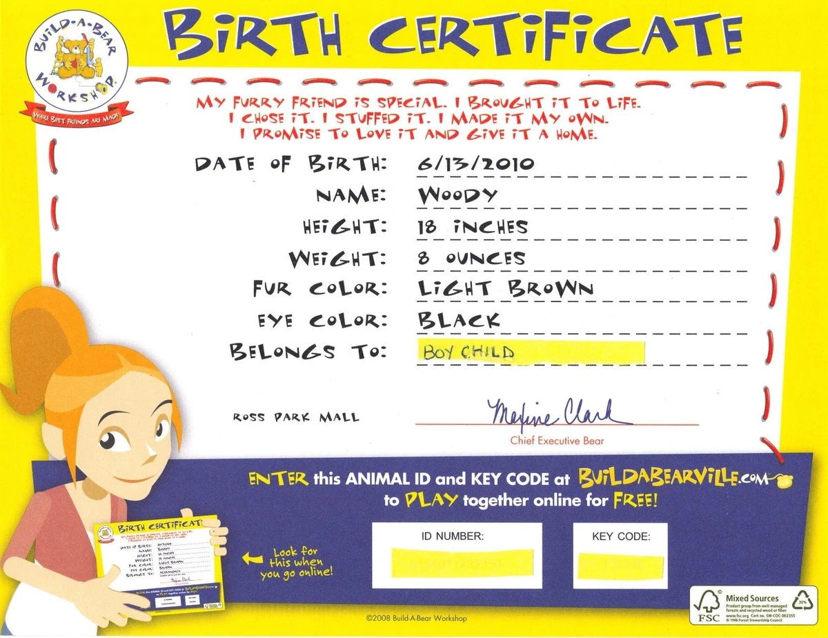 Birth Certificate Birth Certificate