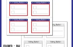 Blank Voting Ballot Template Mock