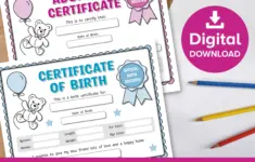 Build A Bear Birth Certificate