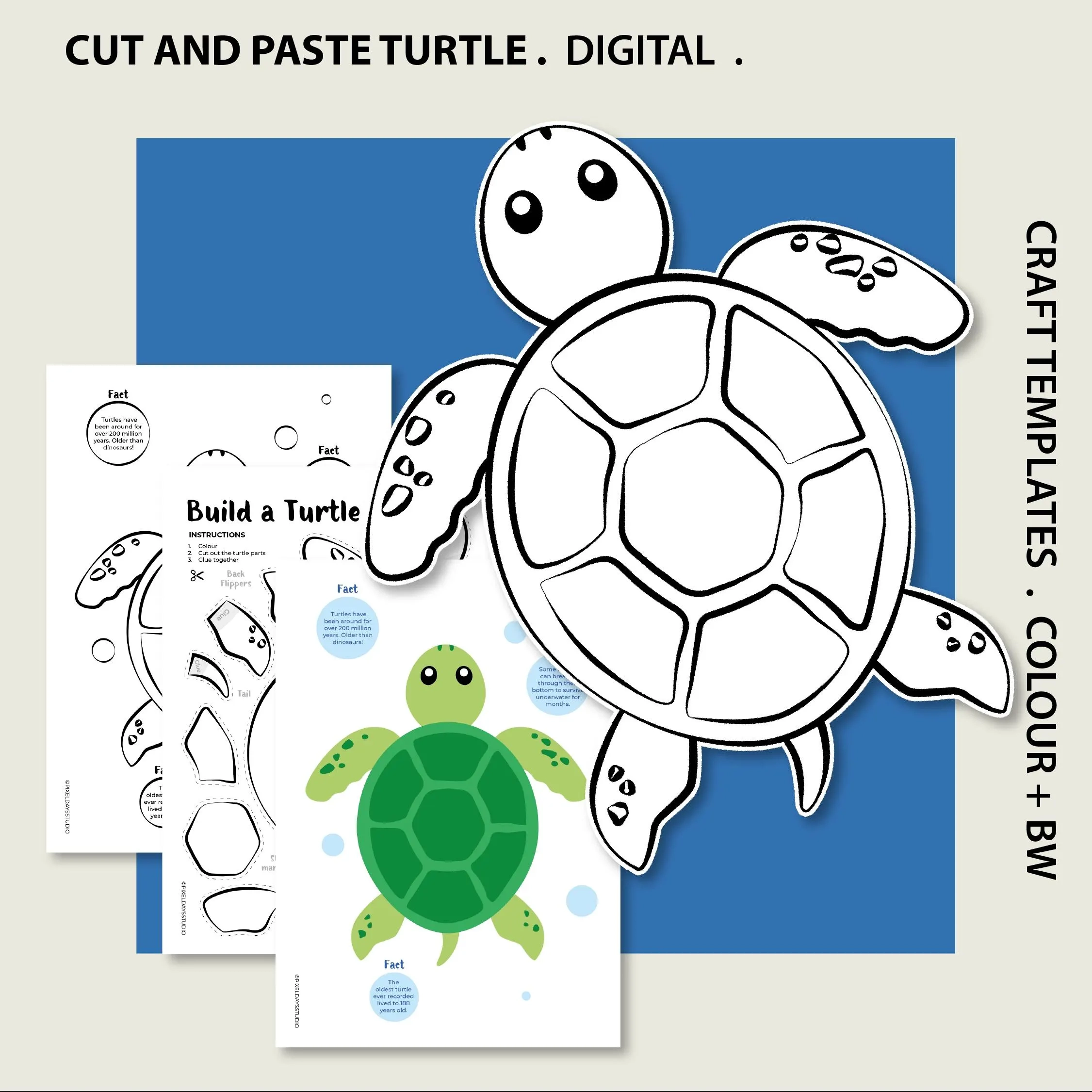 Build A Turtle Printable Cut And Paste Build A Turtle Printable Cut And Paste