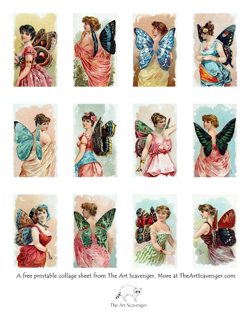 Butterfly Fairies Butterfly Fairies