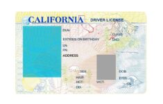 California Driver License Template 1041277393