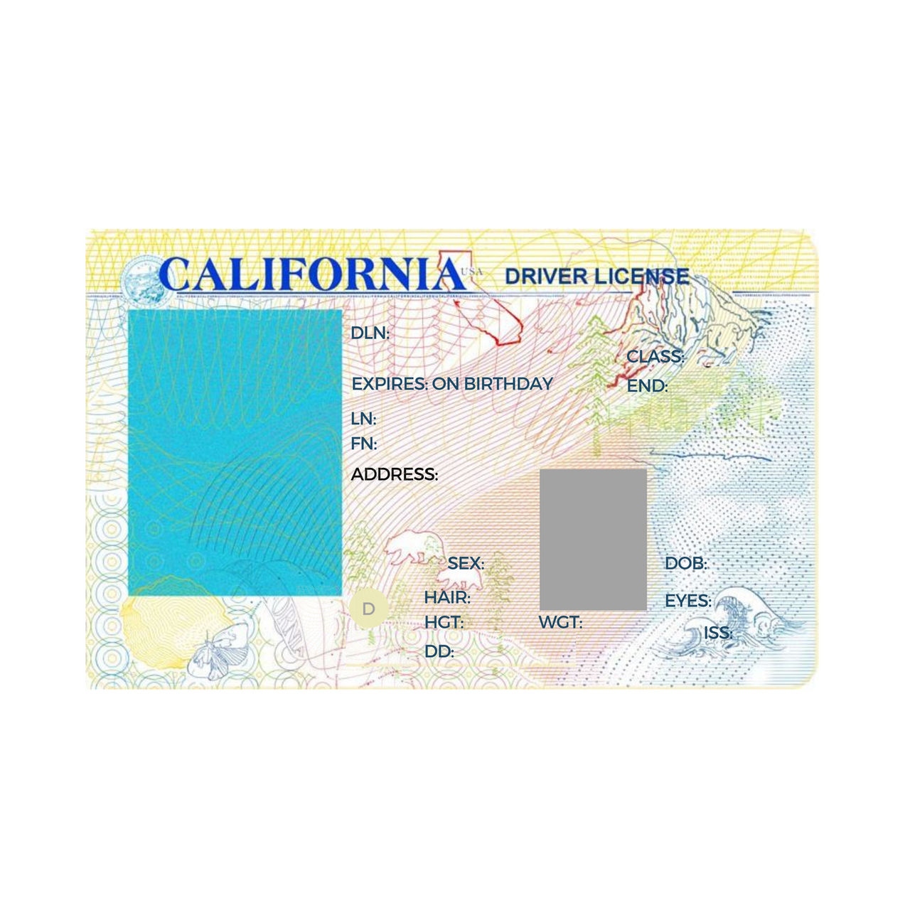 California Driver License Template 1041277393