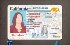 California Driver License Template V1