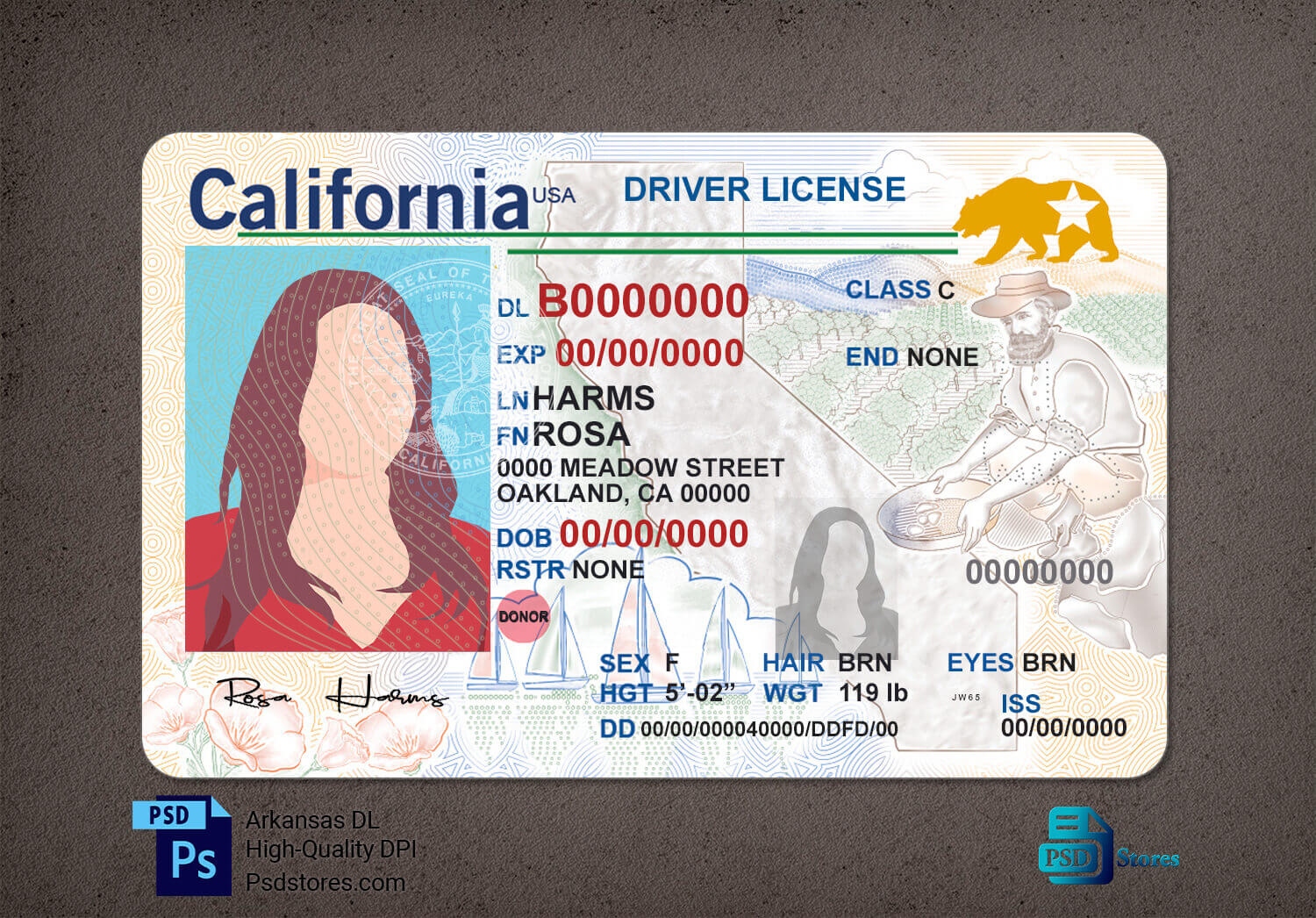 California Driver License Template V1