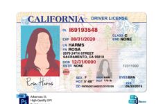 California Driver License Template V2