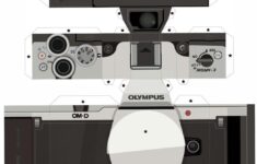 Camera Papercraft Template From The Olympus
