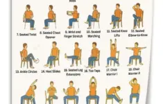 Chair Yoga Exercise Guide For Seniors Infographic Poster 4 Canvas Art Wall Printing Office Bedroom Aesthetic Living Room