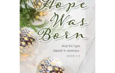 Church Bulletin 11 Christmas Hope Was Born John 1 5 Kjv Pack Of 100