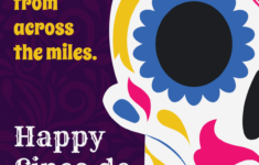 Cinco De Mayo Greeting Card