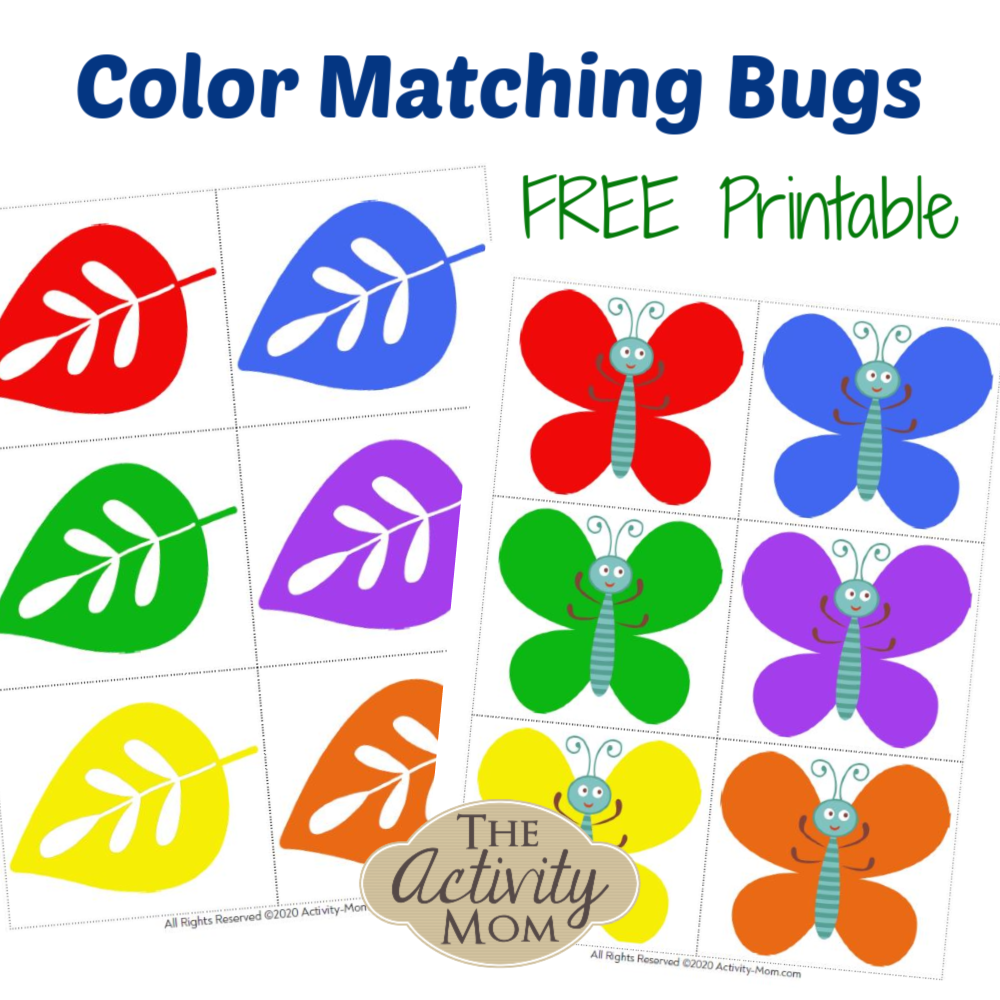 Color Matching Bugs Color Matching Bugs