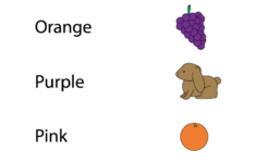 Color Matching Lesson Worksheet