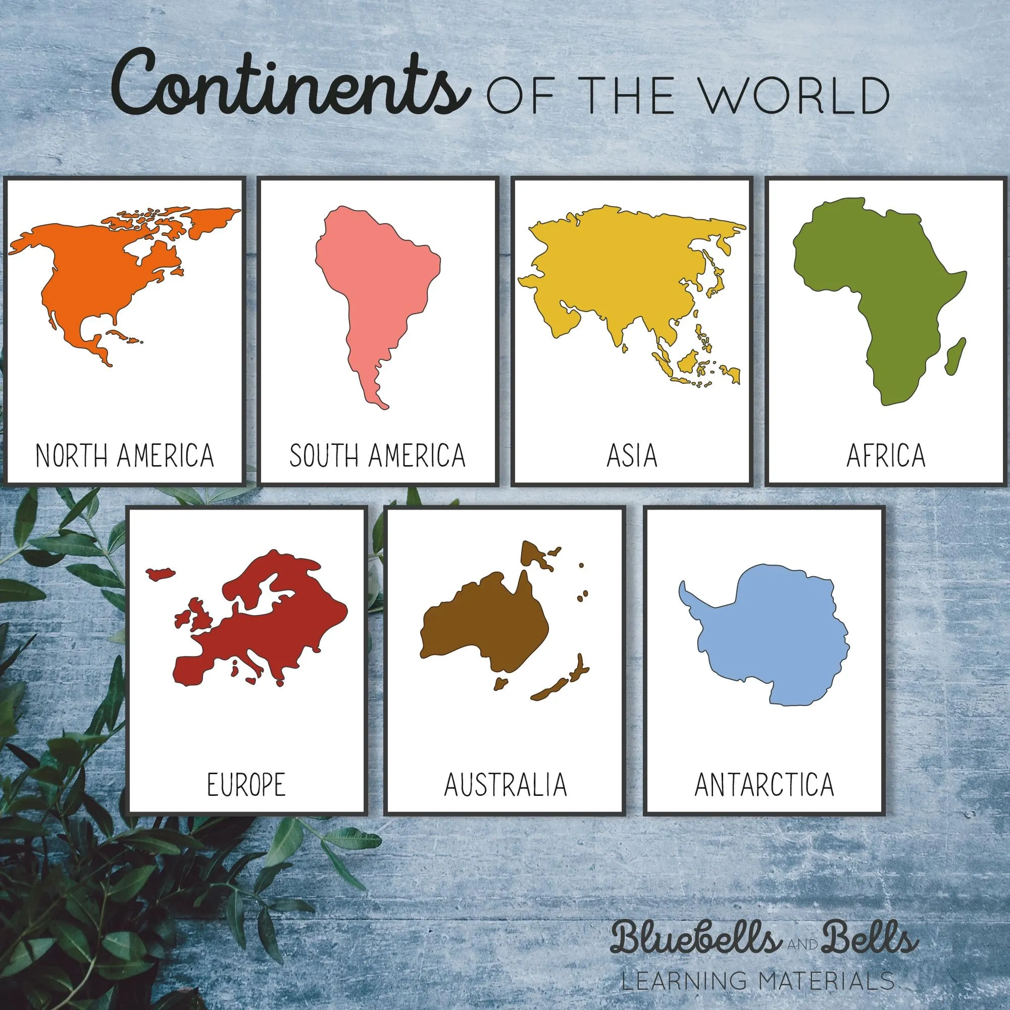Continents Flash Cards And World Map Continents Flash Cards And World Map