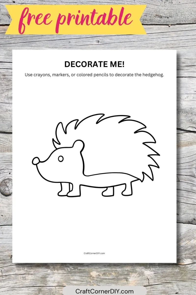 Decorate The Hedgehog Craft