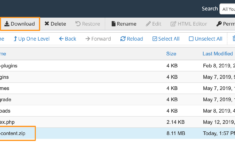 Downloading Wp Content Folder Previous Host