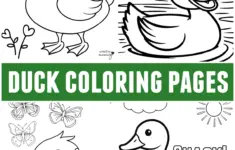 Duck Coloring Pages