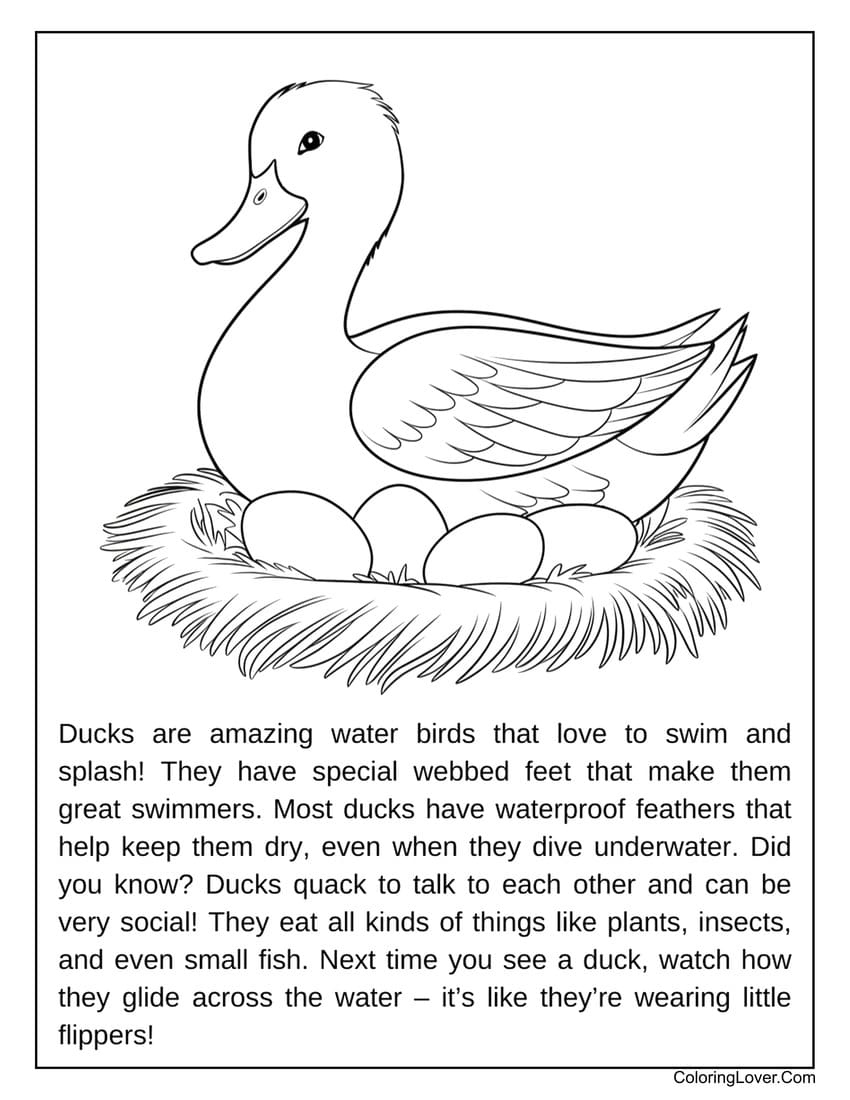 free duck printables free duck printables